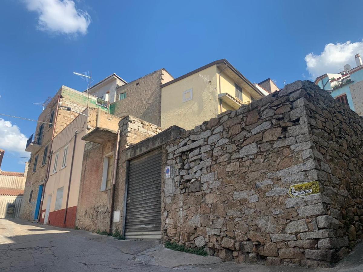 Orgosolo B&B Sardegna Экстерьер фото