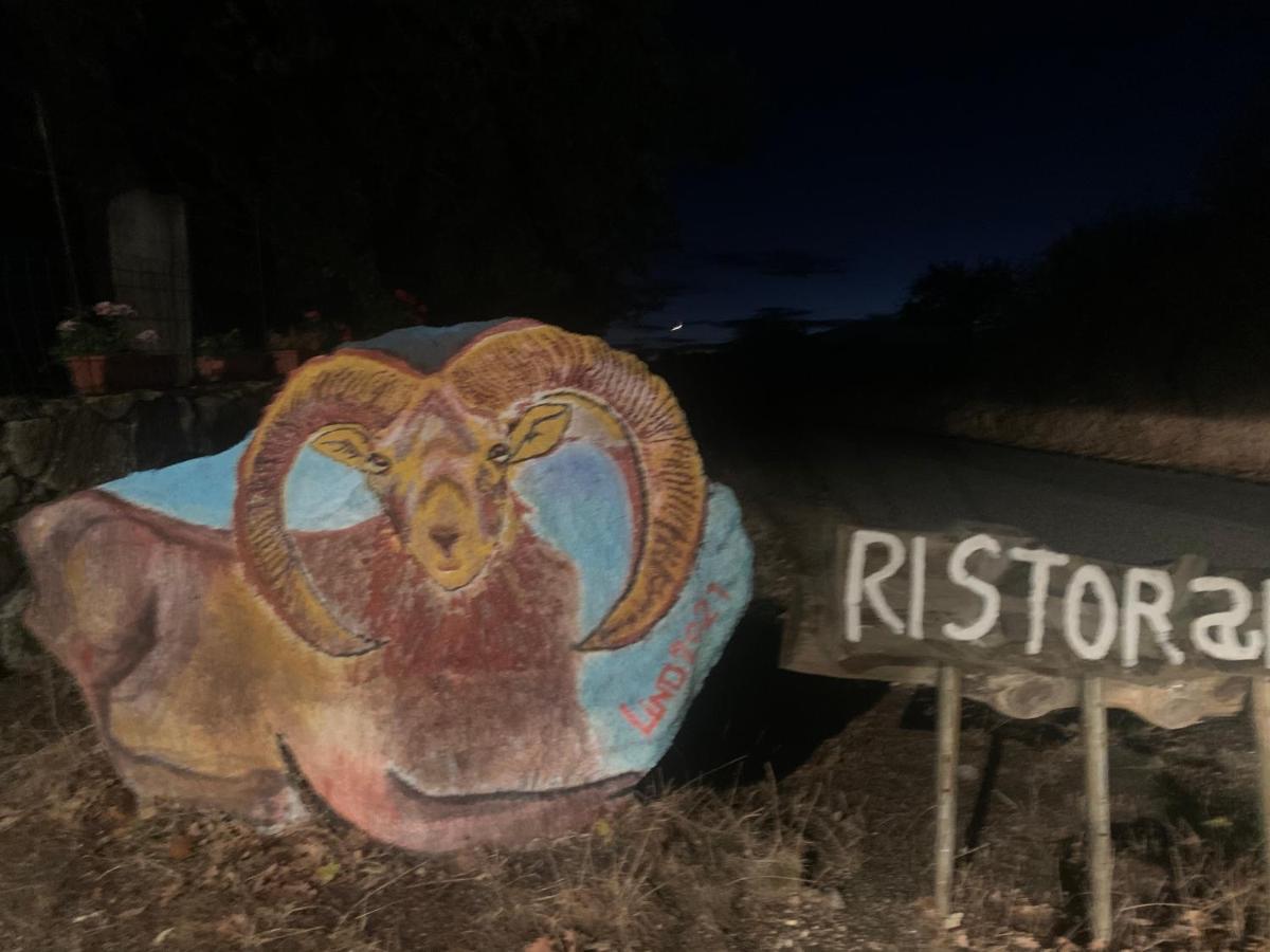 Orgosolo B&B Sardegna Экстерьер фото