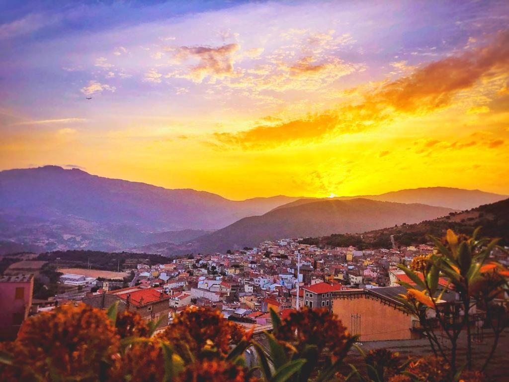 Orgosolo B&B Sardegna Экстерьер фото