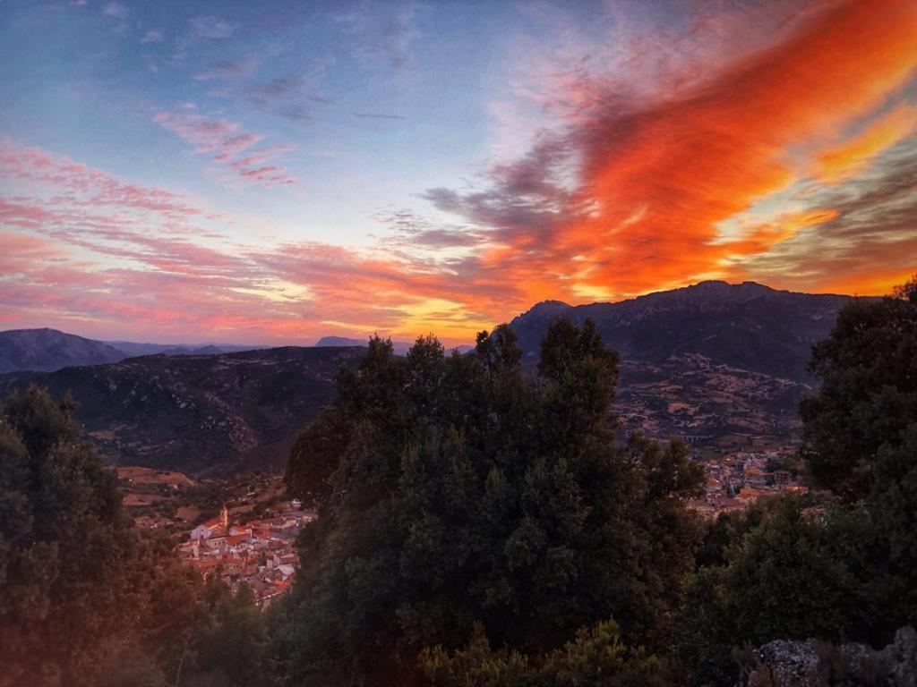 Orgosolo B&B Sardegna Экстерьер фото