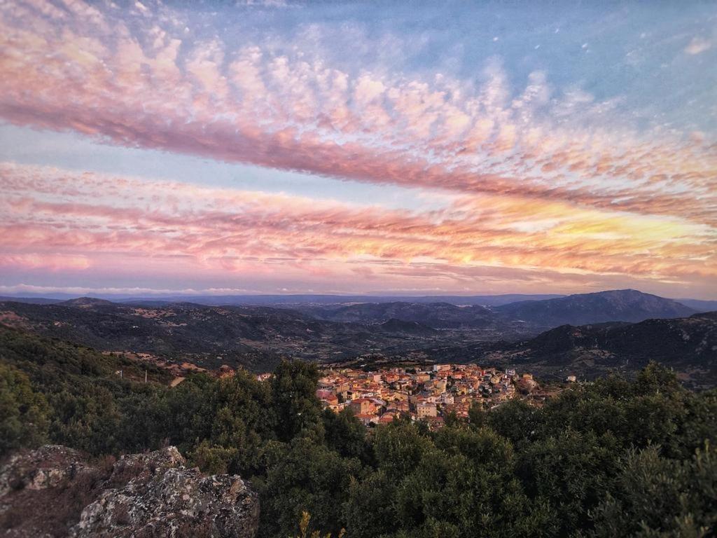 Orgosolo B&B Sardegna Экстерьер фото
