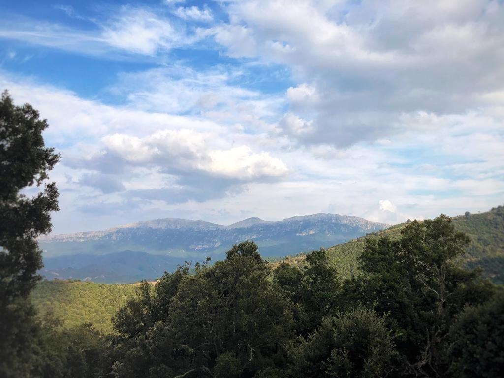 Orgosolo B&B Sardegna Экстерьер фото